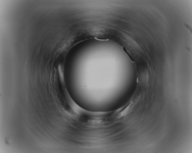 X0000097810180200803141126