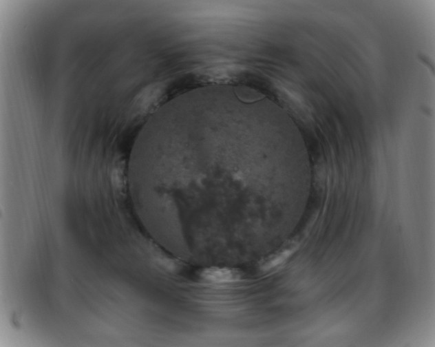 X0000097810181200803141126