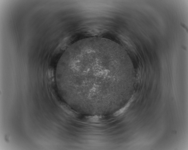X0000097810182200803141127