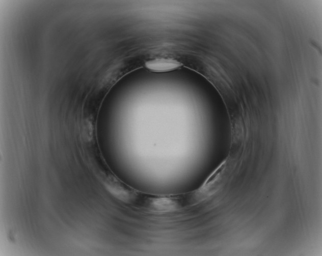 X0000097810183200803141127