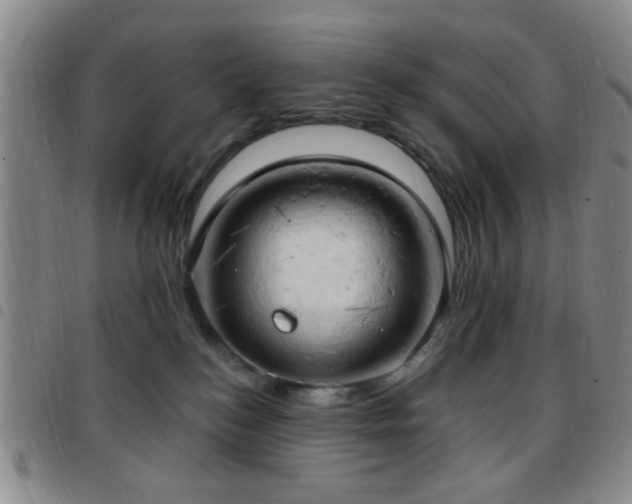 X0000097810184200803141127