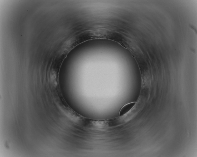 X0000097810187200803141127