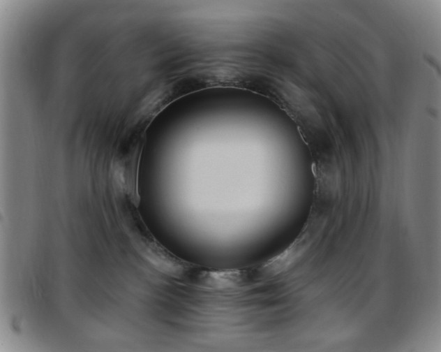 X0000097810188200803141127