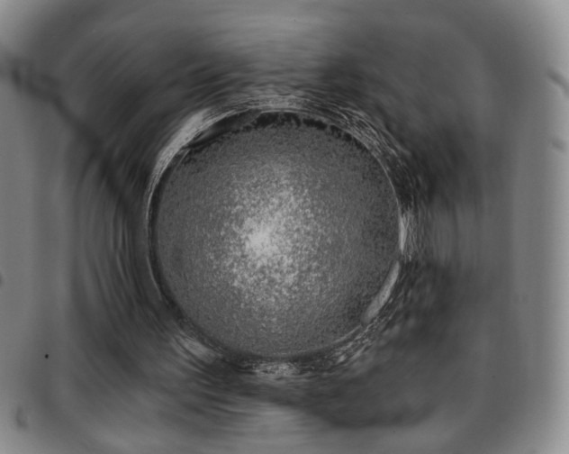 X0000097810195200803141126