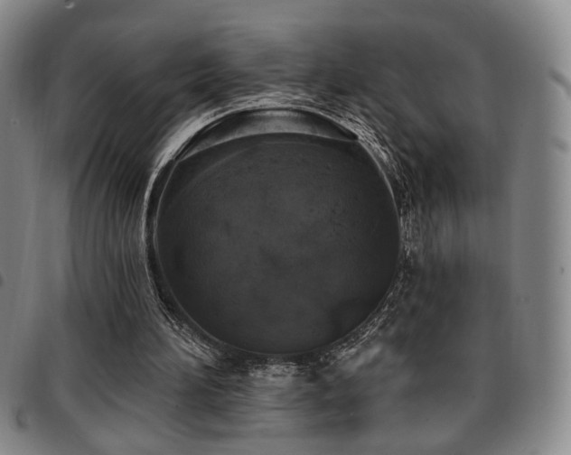 X0000097810196200803141126