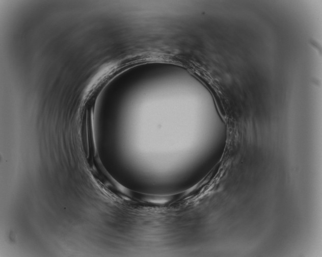 X0000097810197200803141126