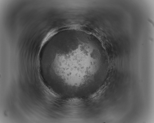 X0000097810198200803141126