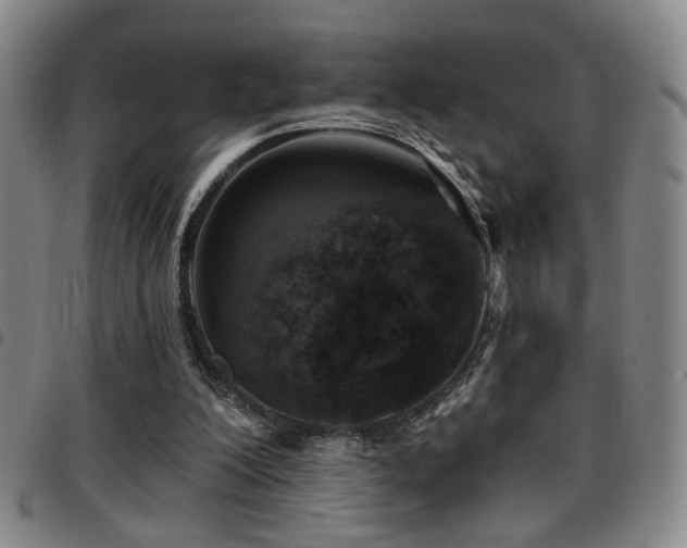 X0000097810200200803141126