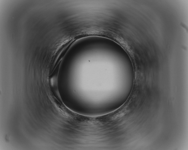 X0000097810201200803141126