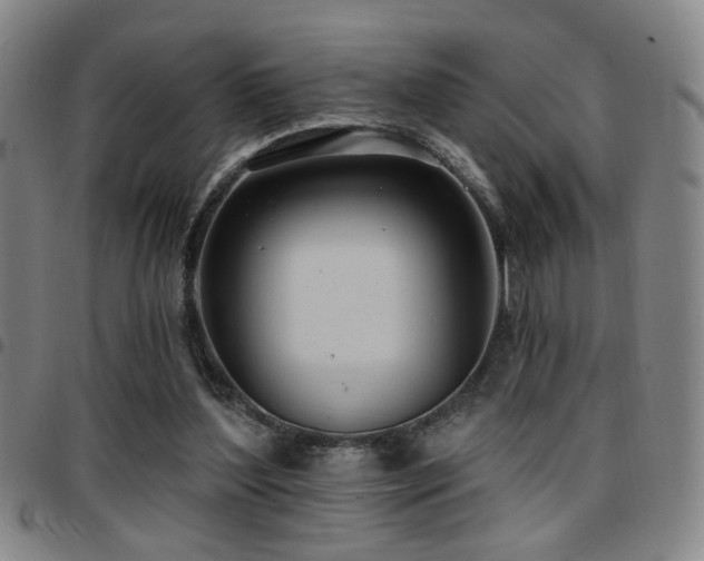 X0000097810204200803141126