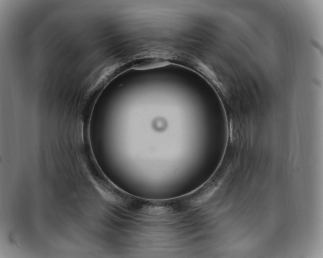 X0000097810205200803141126