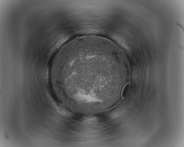 X0000097810206200803141126