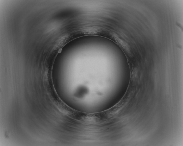 X0000097810209200803141126