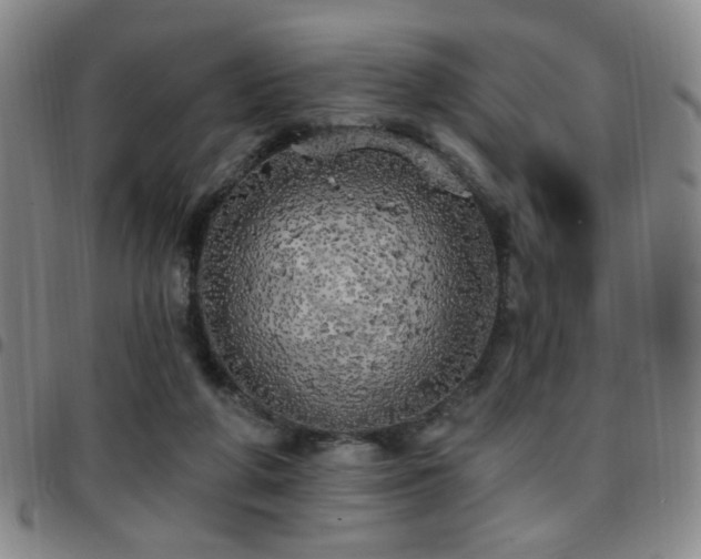 X0000097810210200803141126