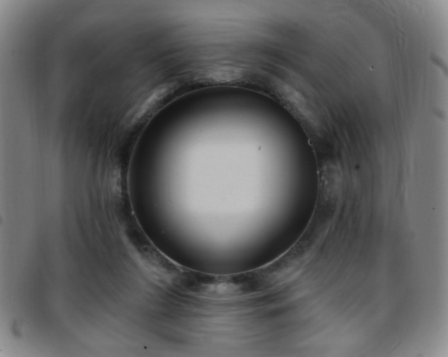 X0000097810212200803141126