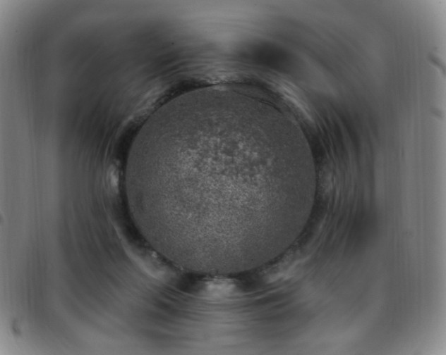 X0000097810214200803141126
