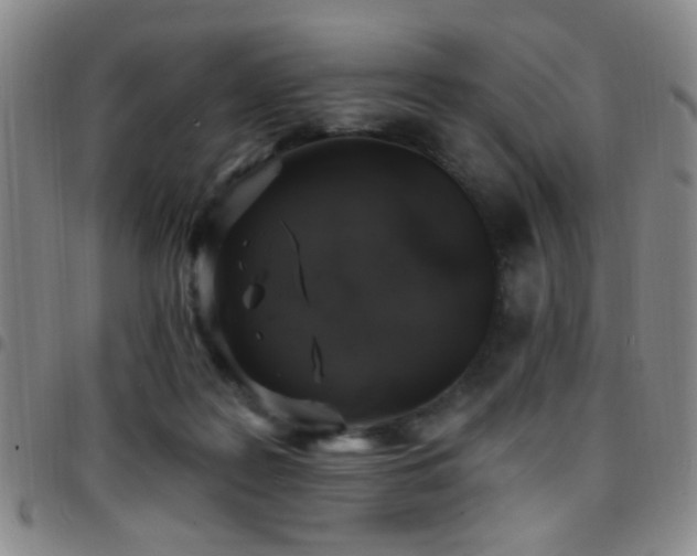 X0000097810219200803141126