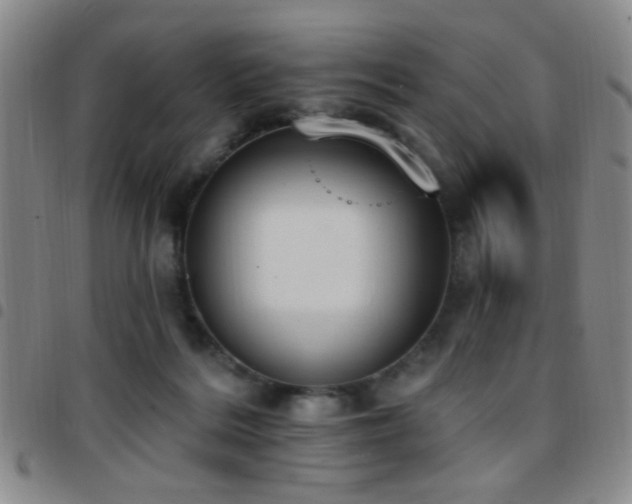 X0000097810220200803141126
