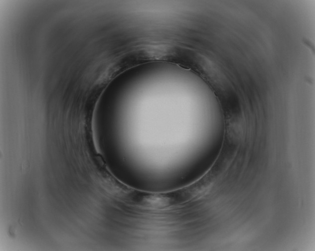 X0000097810221200803141126