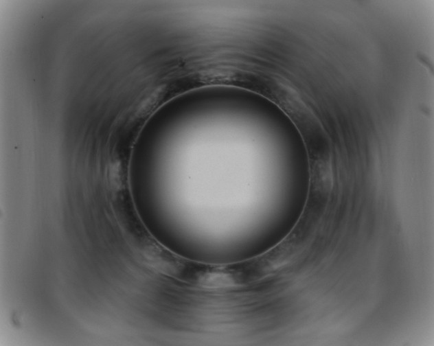 X0000097810224200803141126