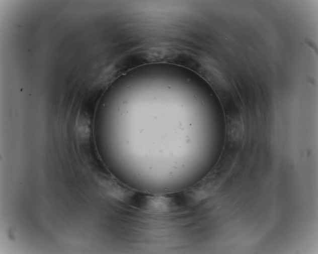X0000097810226200803141126