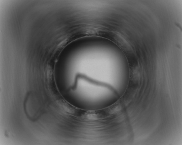 X0000097810228200803141126
