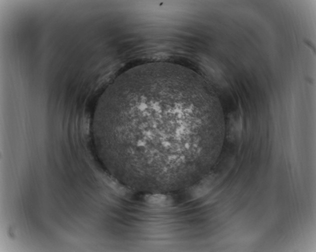 X0000097810230200803141125