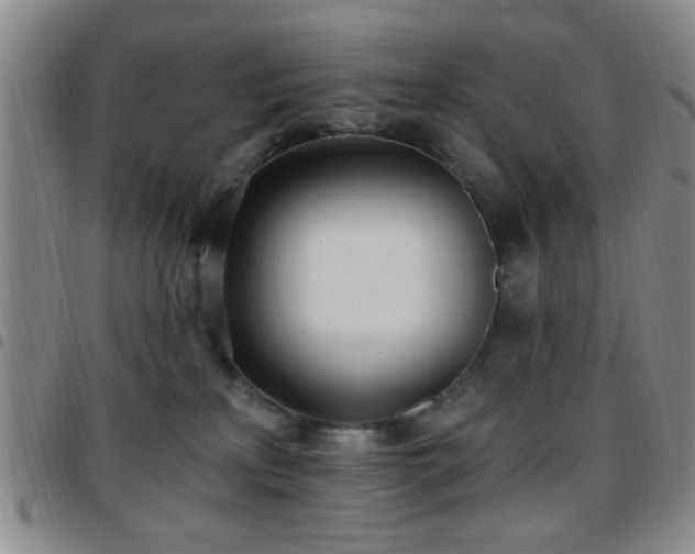X0000097810233200803141125