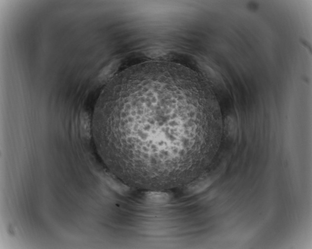 X0000097810234200803141125
