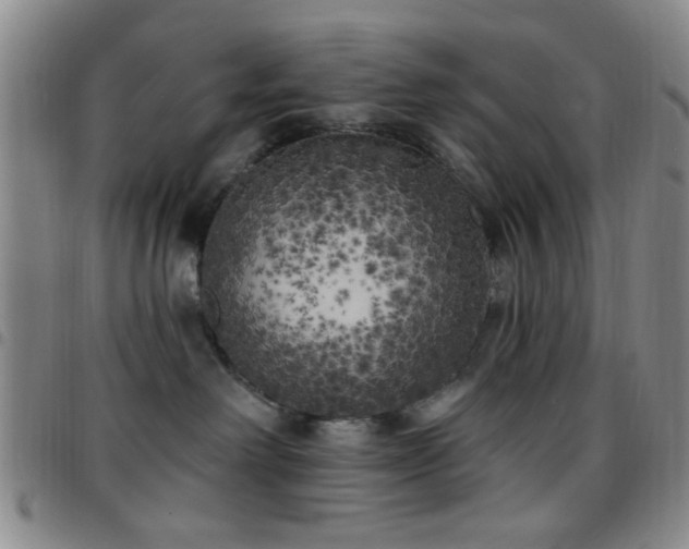 X0000097810238200803141125