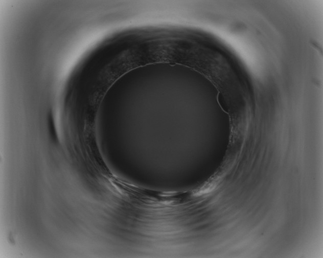 X0000097810239200803141125