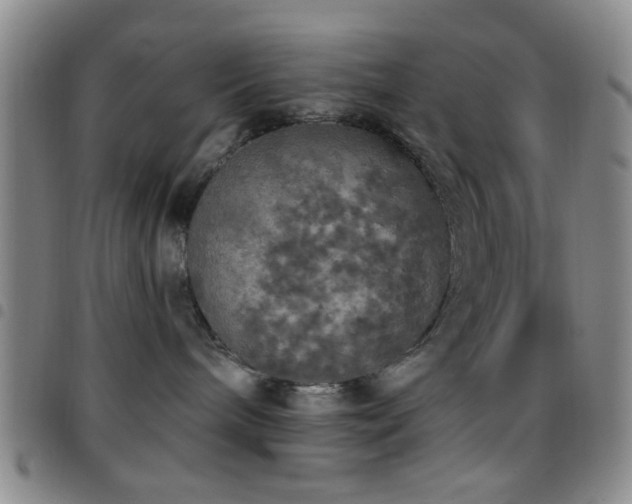 X0000097810240200803141125