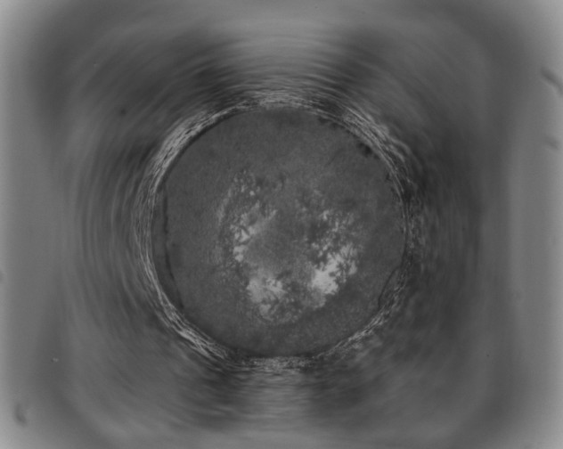 X0000097810241200803141125