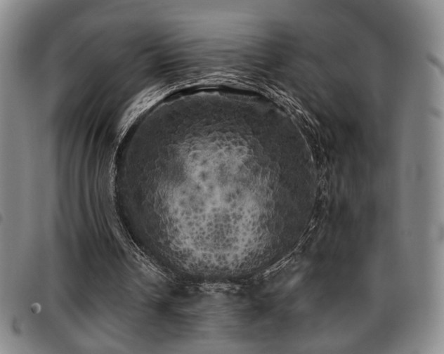 X0000097810242200803141125