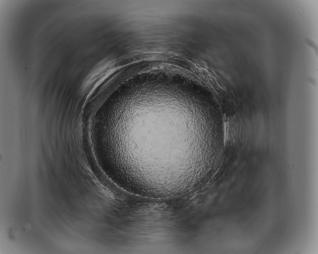 X0000097810243200803141125