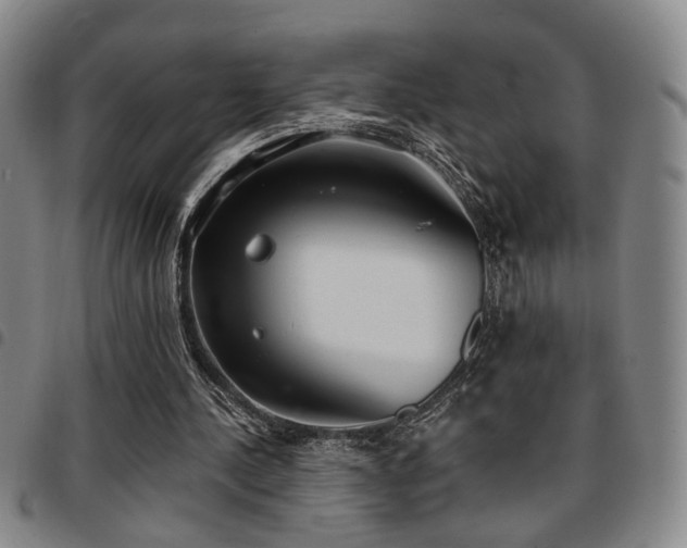 X0000097810244200803141125