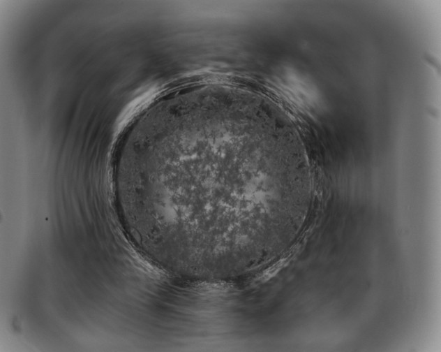 X0000097810245200803141125