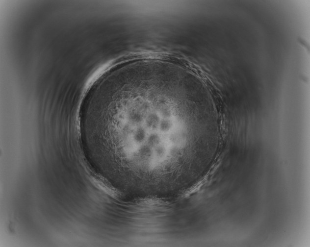 X0000097810246200803141125