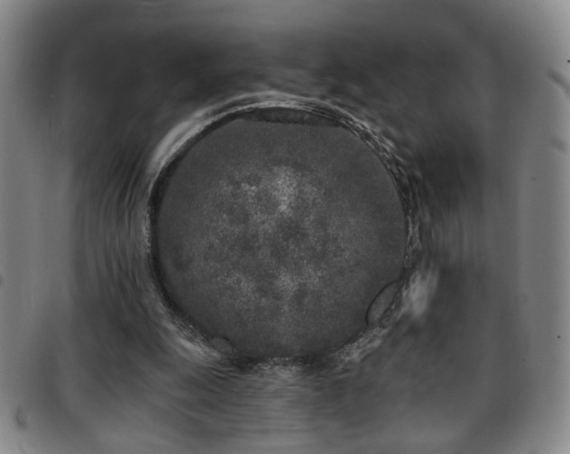 X0000097810247200803141125