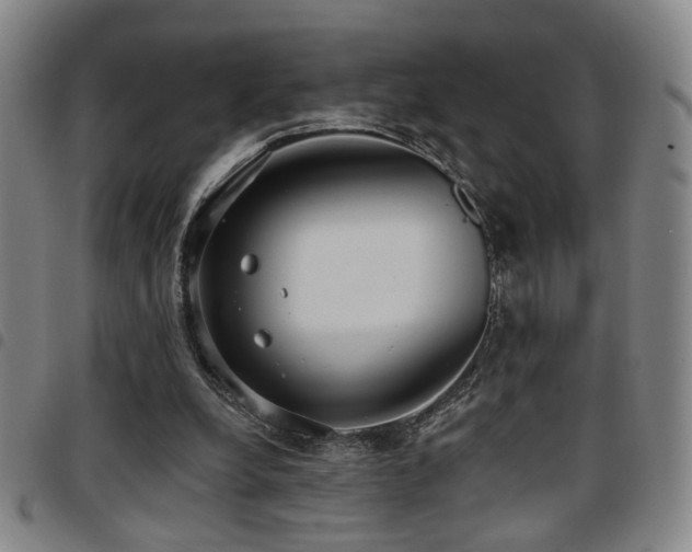 X0000097810248200803141125