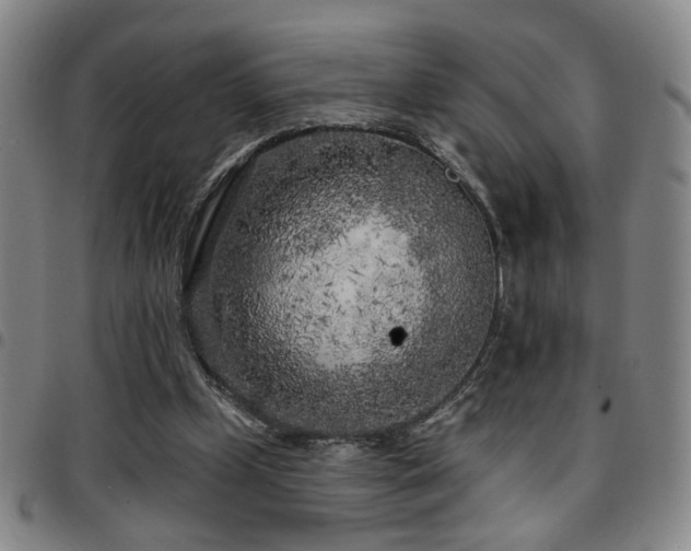 X0000097810249200803141125