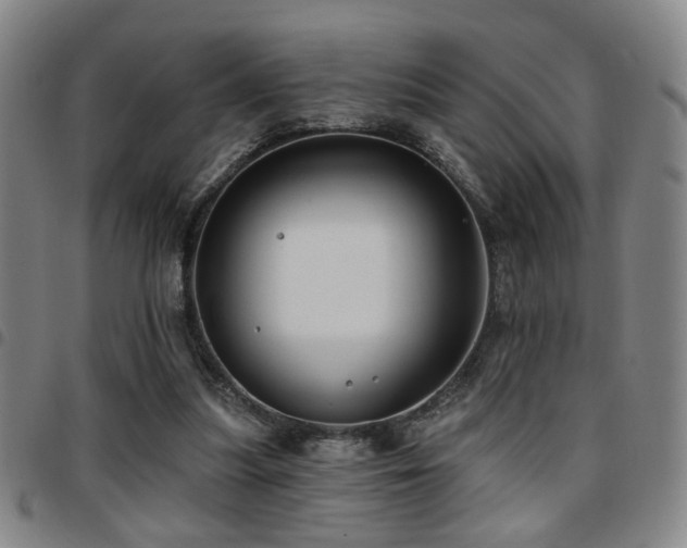 X0000097810251200803141125