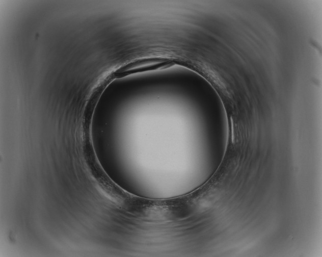 X0000097810252200803141125
