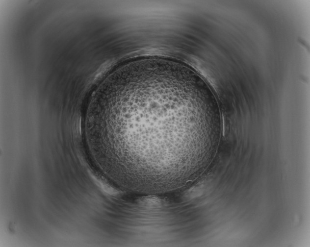 X0000097810253200803141125