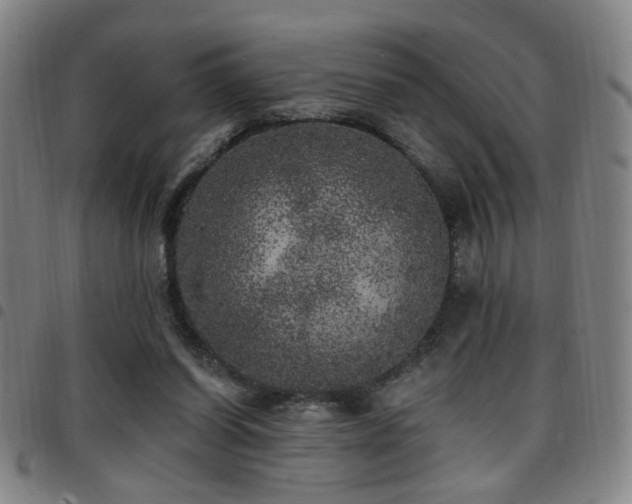 X0000097810254200803141125