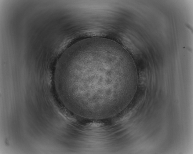 X0000097810255200803141125