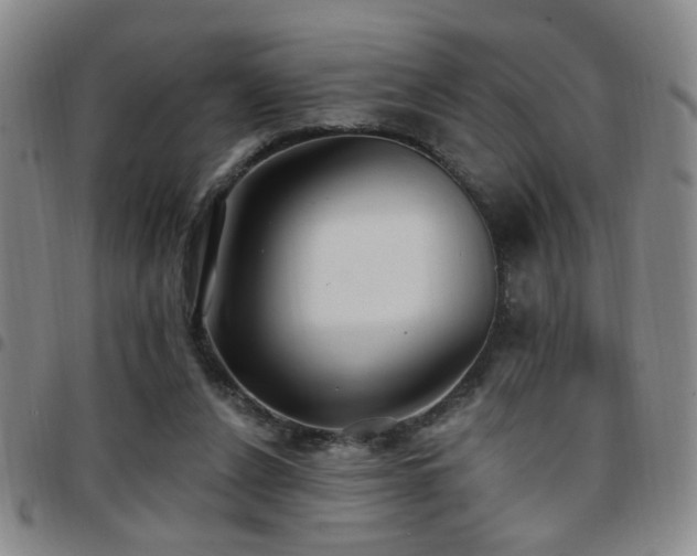 X0000097810256200803141125