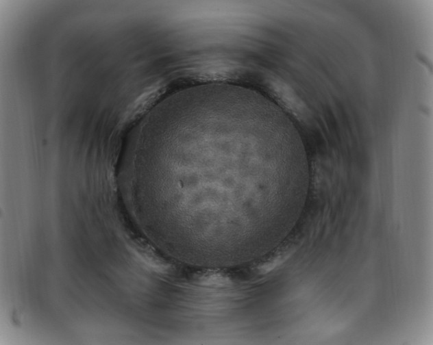 X0000097810258200803141125