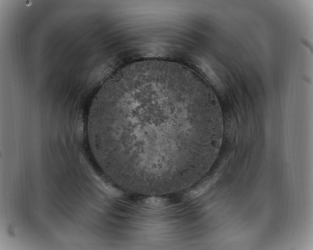 X0000097810261200803141125
