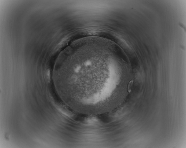 X0000097810262200803141125